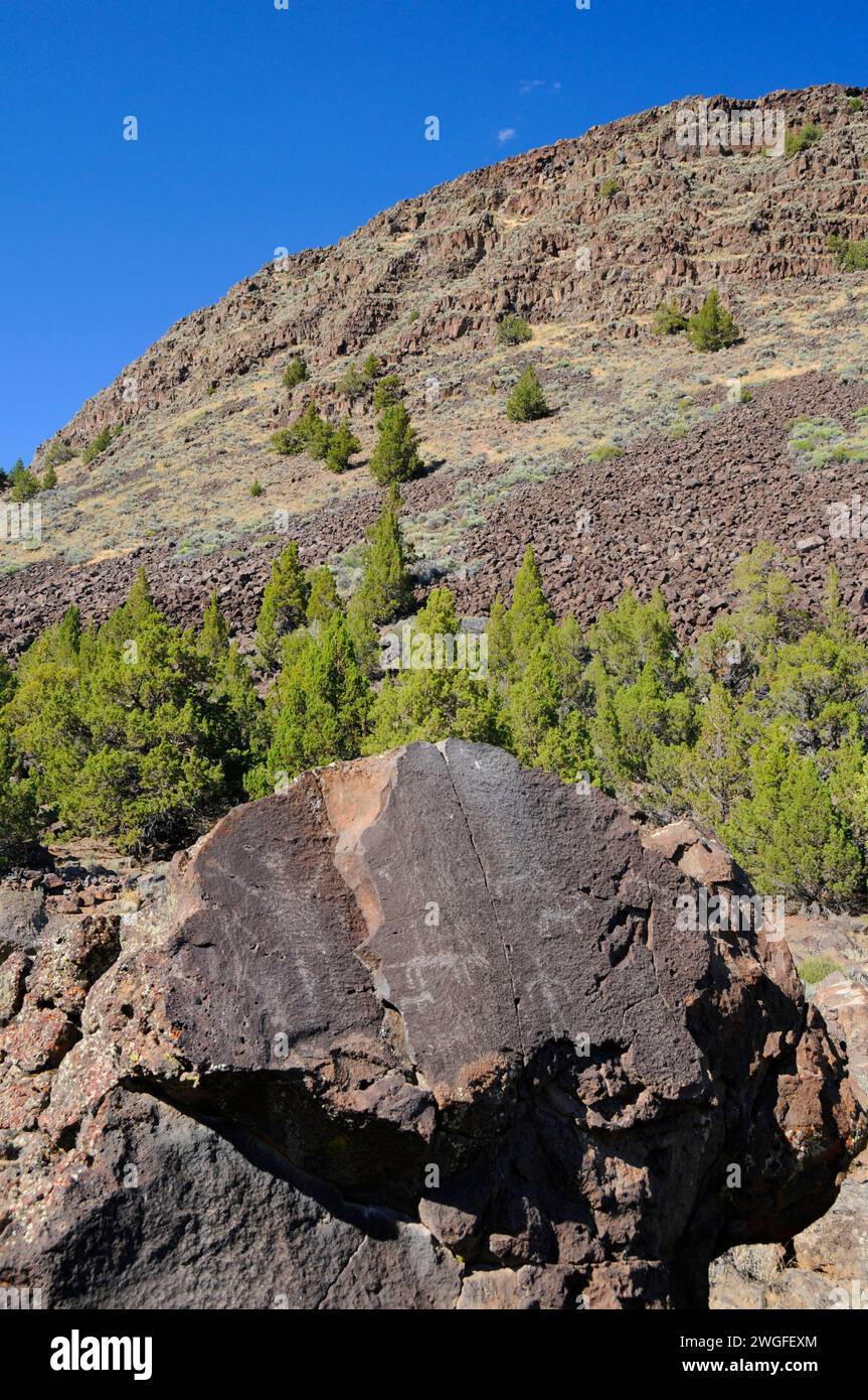 Petroglyphs on Picture Rock Pass, Lakeview District Bureau of Land