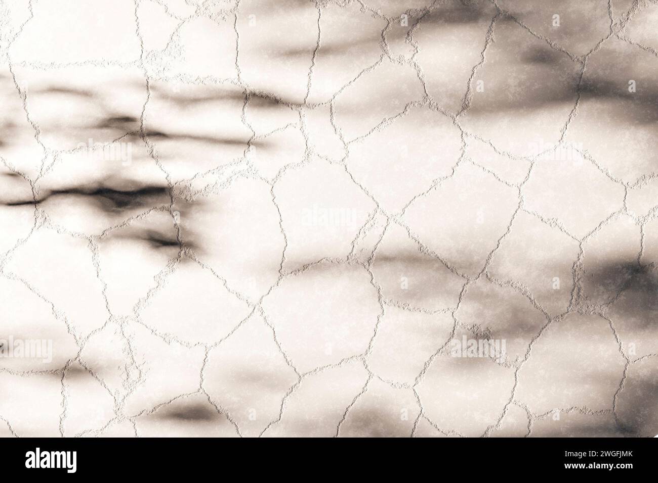 Three Shadow Texture Sunshine, tree shadows, various texture backgrounds. 3d rendering Stock ...