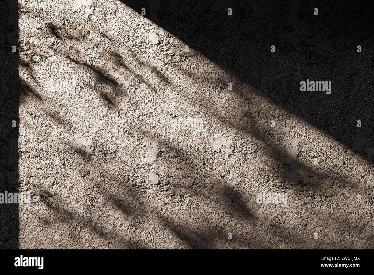 Sunshine, tree shadows, various texture backgrounds. 3d rendering Stock ...