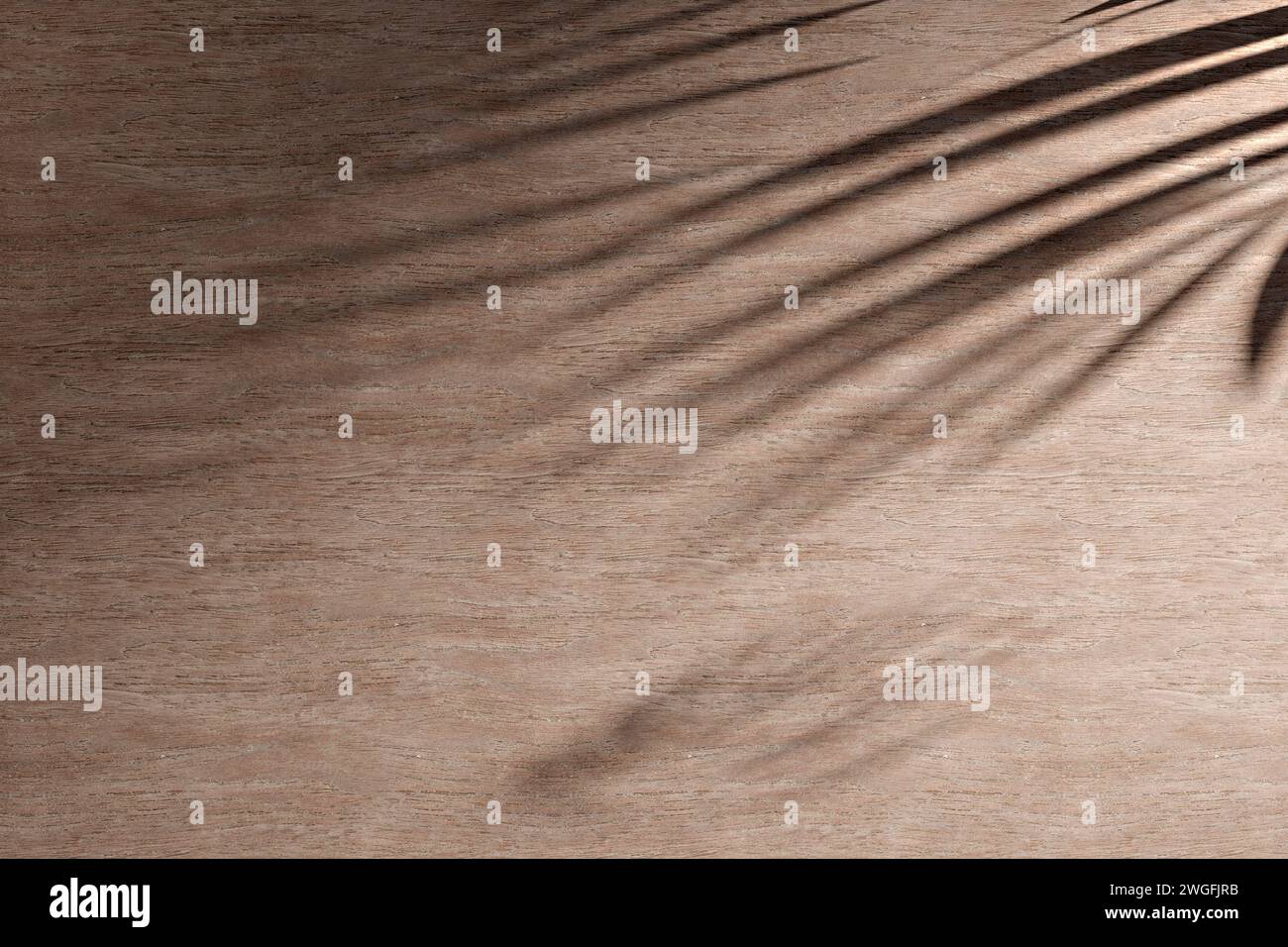 Sunshine, tree shadows, various texture backgrounds. 3d rendering Stock ...