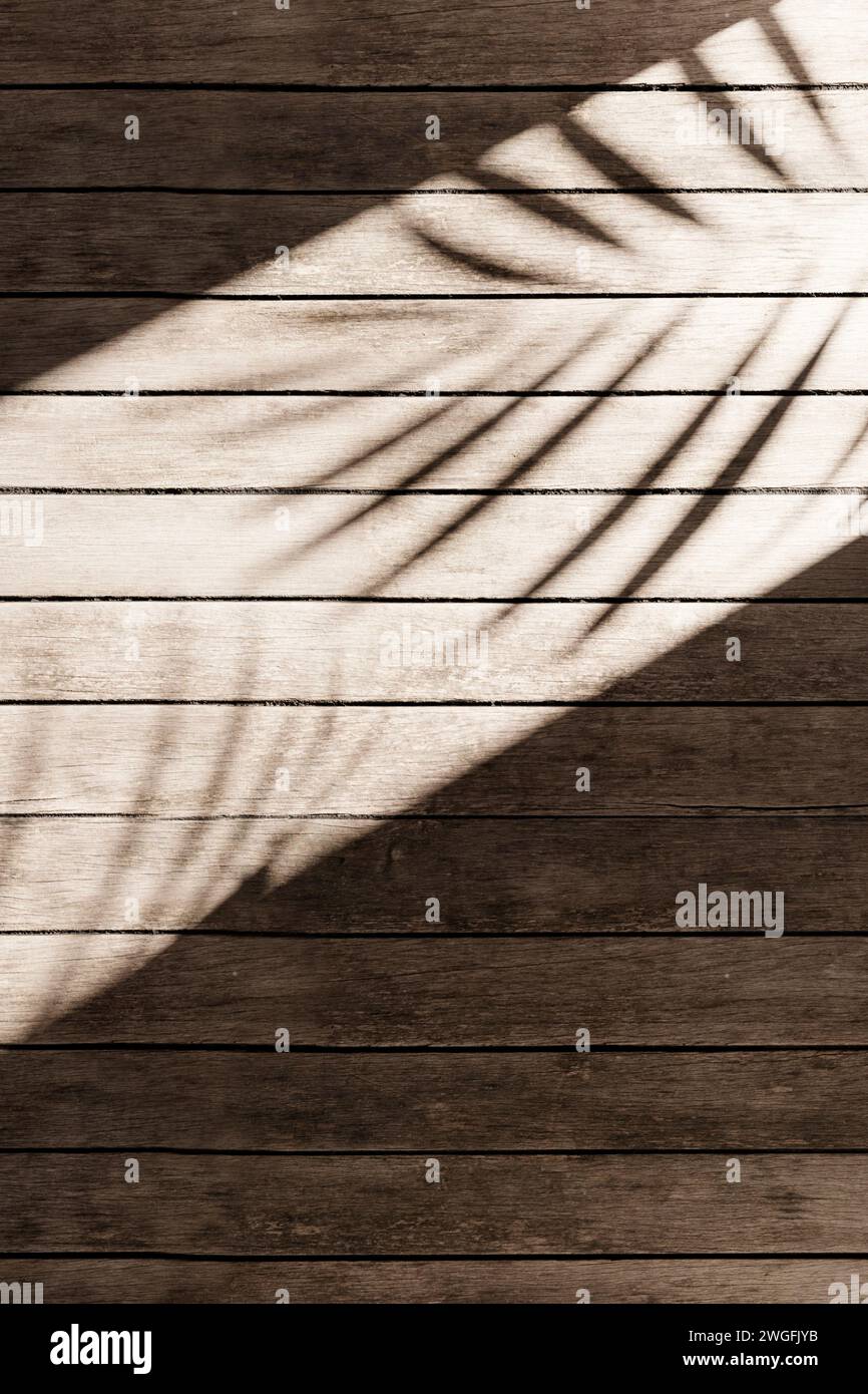 Sunshine, tree shadows, various texture backgrounds. 3d rendering Stock ...