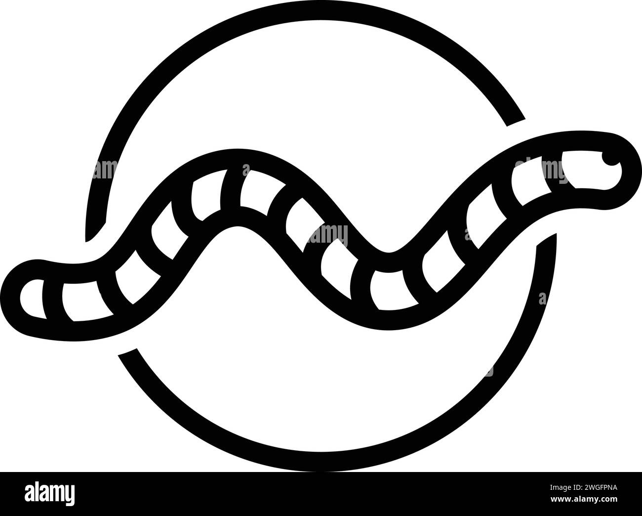Icon for worm ,gummy Stock Vector Image & Art - Alamy