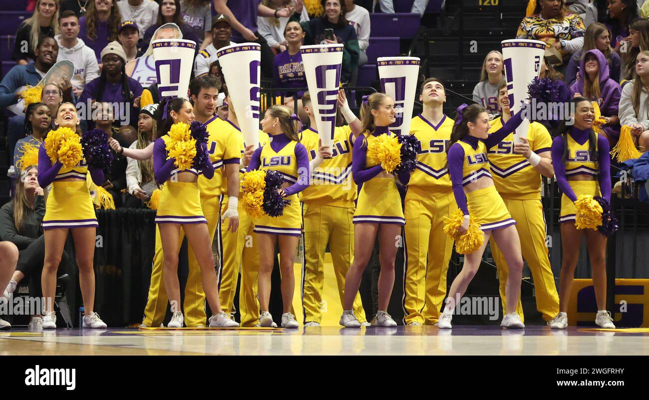 Baton Rouge, USA. 04th Feb, 2024. The LSU Lady Tigers cheerleaders ...