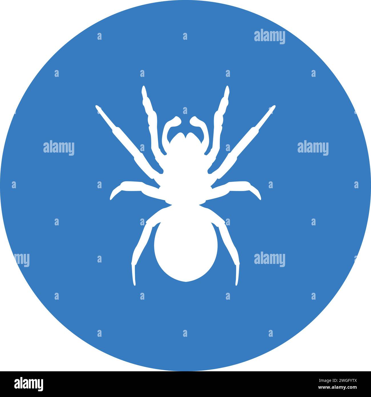 Spider icon vector hi-res stock photography and images - Alamy