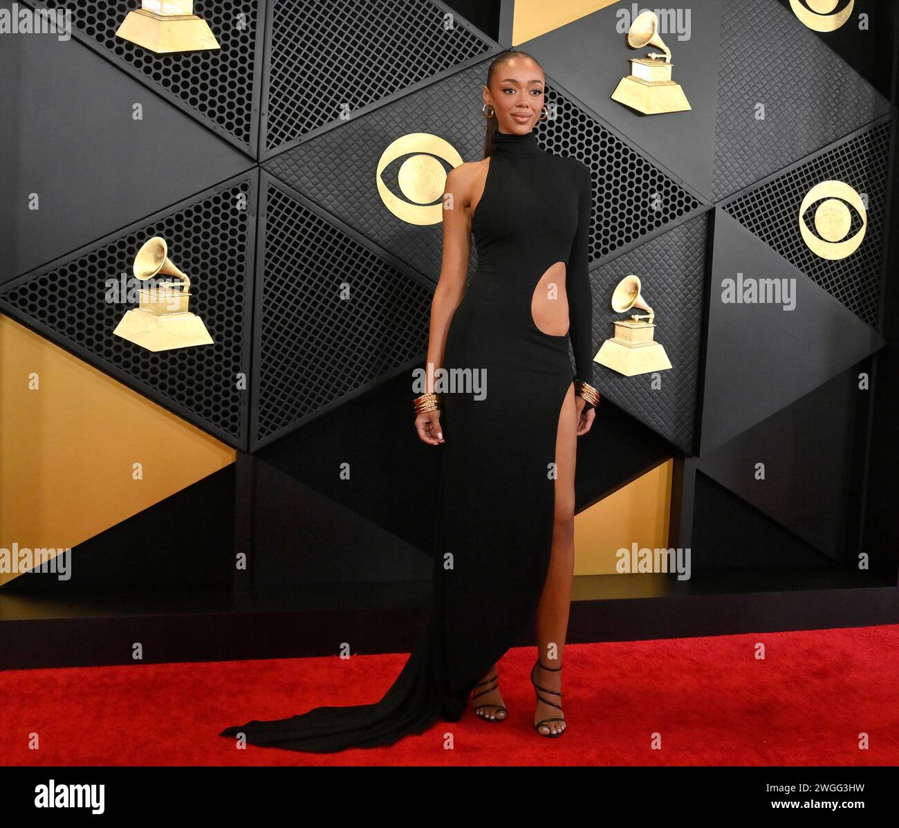 Los Angeles, United States. 04th Feb, 2024. Bella Harris attends the 66th  annual Grammy Awards at the Crypto.com Arena in Los Angeles on Sunday,  February 4, 2024. Photo by Jim Ruymen/UPI Credit: