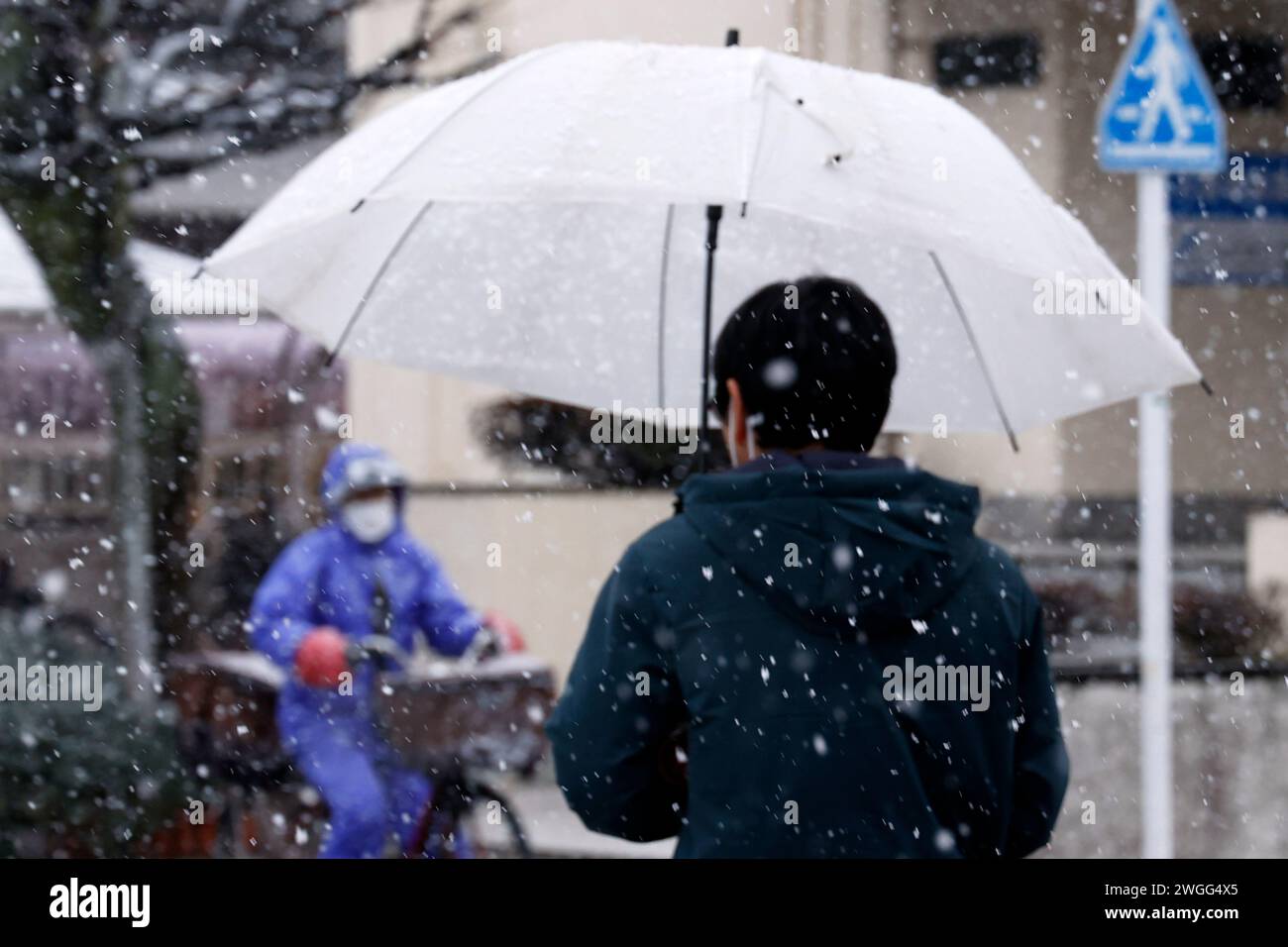 Pedestrians Protect Themselves From A Falling Snow In Nerima Ward   Pedestrians Protect Themselves From A Falling Snow In Nerima Ward Tokyo On February 5 2024 Japan Heavy Snowfall Hit Tokyo And Other Parts Of The Kanto Region Photo By Rodrigo Reyes Marinaflo 2WGG4X5 