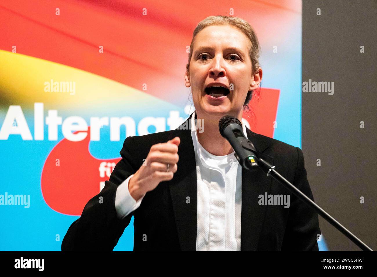 Alterative für Deutschland, Alice Weidel Dr. Alice Weidel Fraktionsvorsitzende der AfD