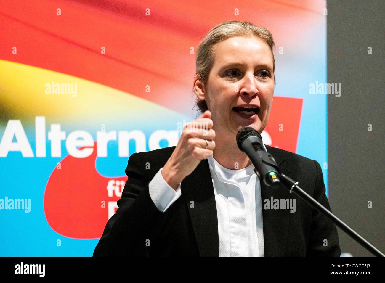 Alterative für Deutschland, Alice Weidel Dr. Alice Weidel ...