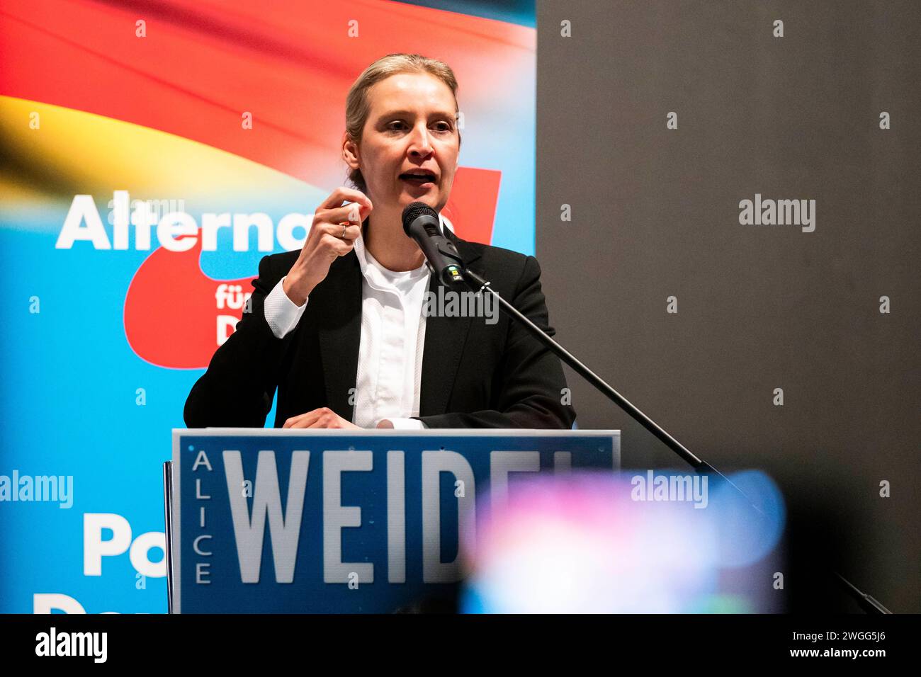 Alterative für Deutschland, Alice Weidel Dr. Alice Weidel Fraktionsvorsitzende der AfD