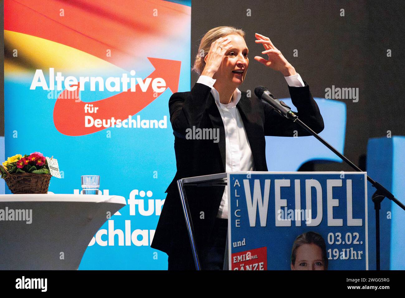 Alterative für Deutschland, Alice Weidel Dr. Alice Weidel Fraktionsvorsitzende der AfD