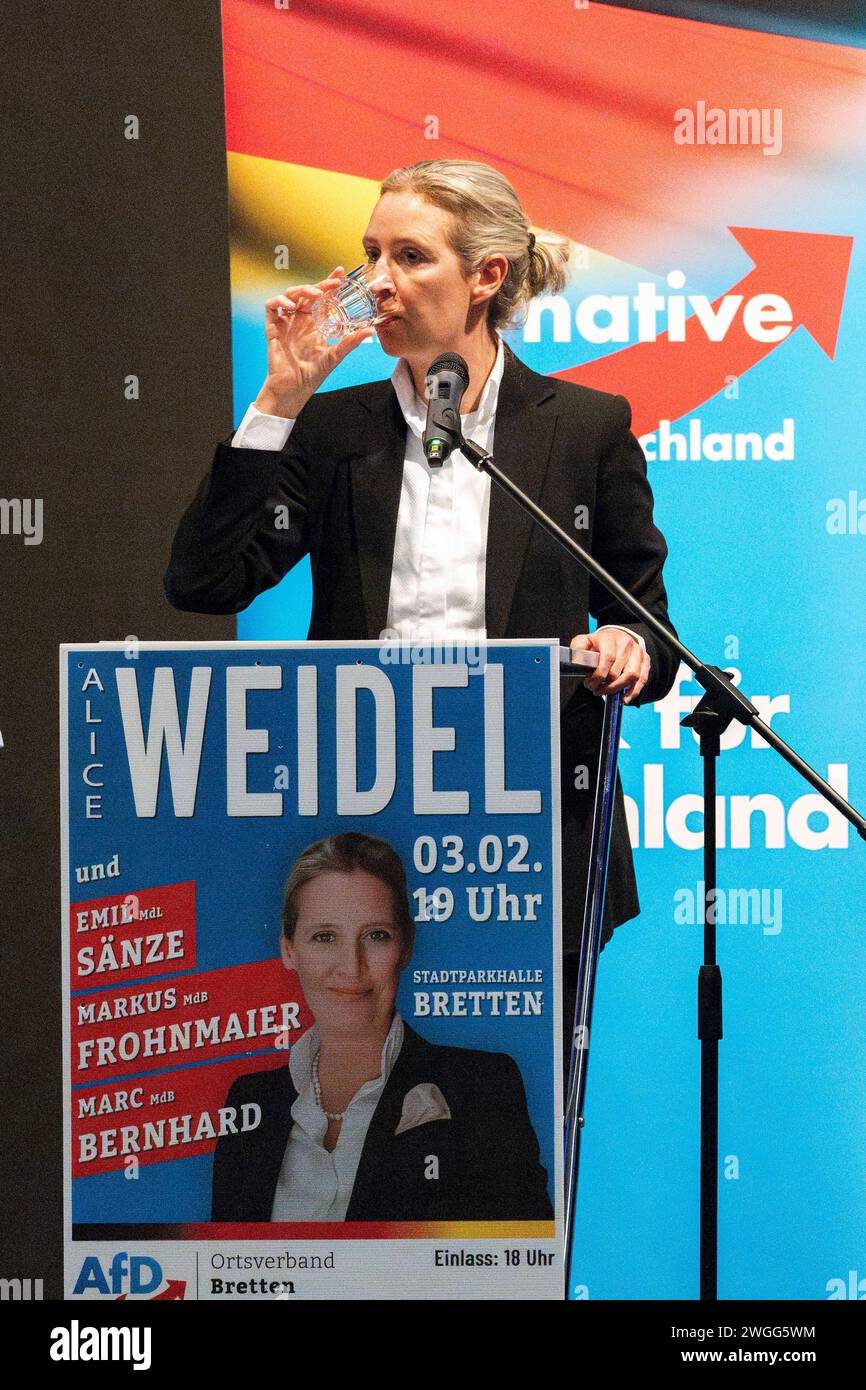 Alterative für Deutschland, Alice Weidel Dr. Alice Weidel Fraktionsvorsitzende der AfD