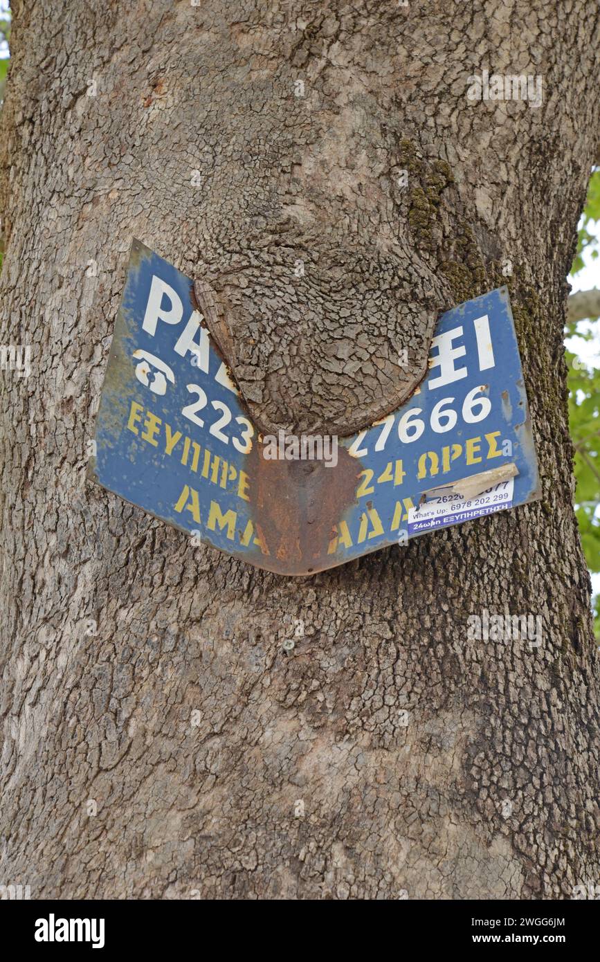 A rusty metal sign being swallowed by a tree growing around it in the Peloponnese, Greece Stock Photo