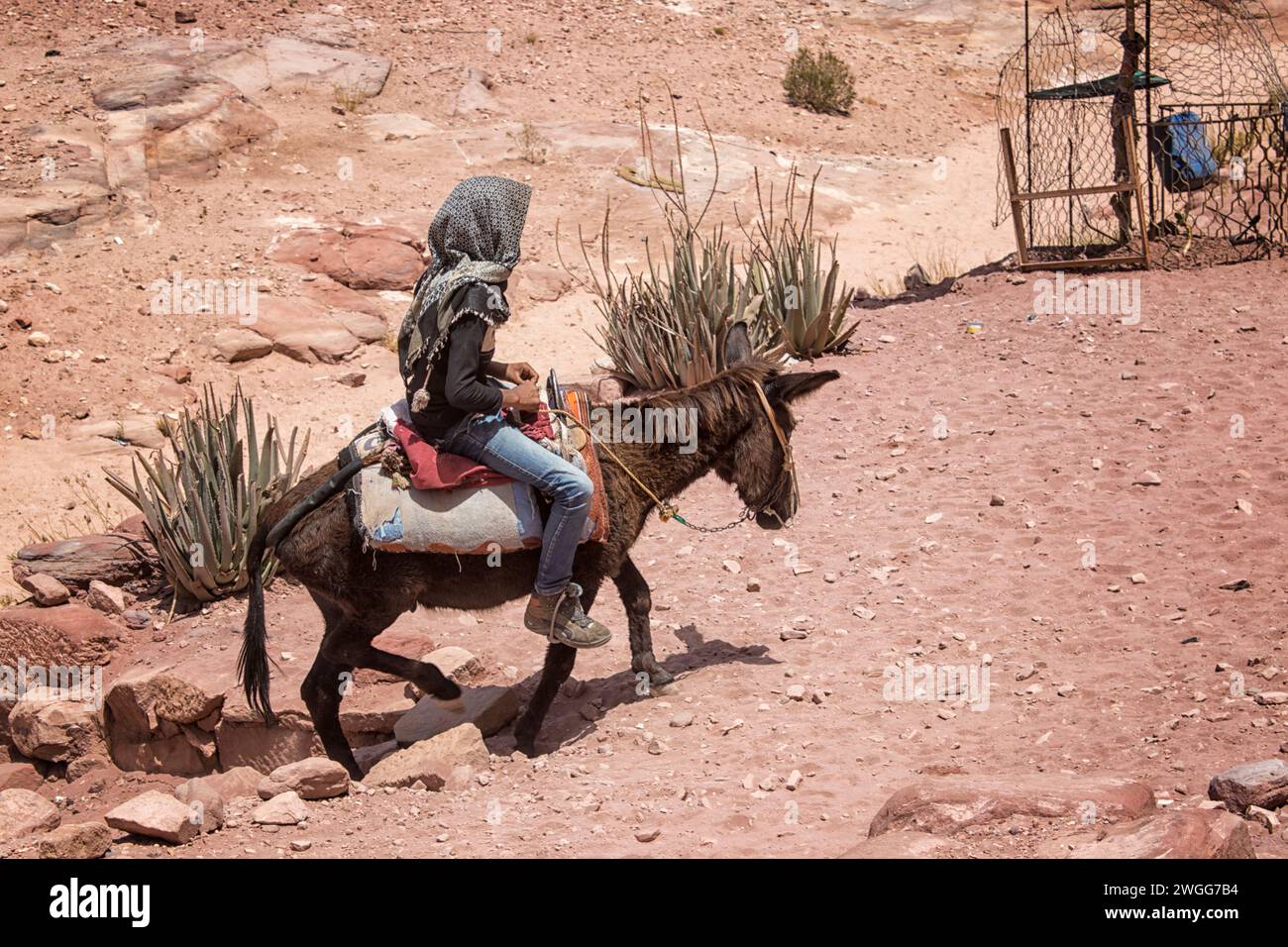 A young male riding a donkey. Petra, is a historic and archaeological city in southern Jordan. Famous for its rock-cut architecture and water conduit system, Petra is also called the 'Rose City' because of the colour of the sandstone from which it is carved. It is adjacent to the mountain of Jabal Al-Madbah, in a basin surrounded by mountains forming the eastern flank of the Arabah valley running from the Dead Sea to the Gulf of Aqaba. Access to the city is through a famously picturesque gorge called the Siq, which leads directly to the Khazneh. Jordon. Stock Photo