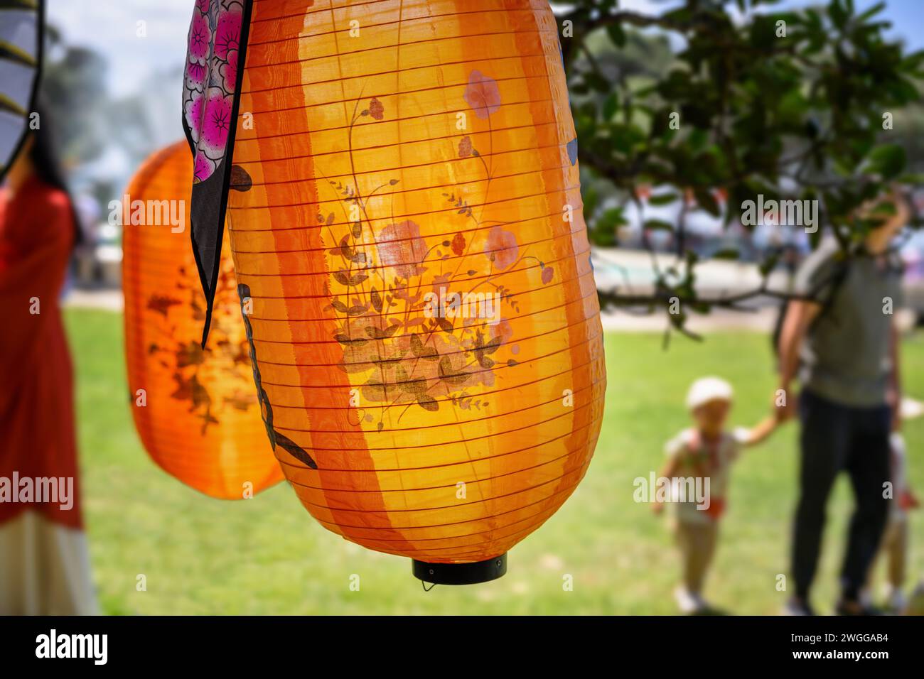 Chinese New Year lanterns under the Pohutukawa tree. Unrecognizable people walking in the park. Auckland. Stock Photo