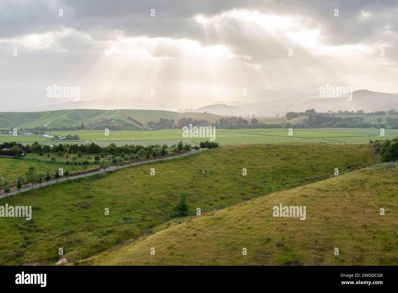 Vineyards and grazing lands near Blenheim in the Marlborough region of New Zealand Stock Photo