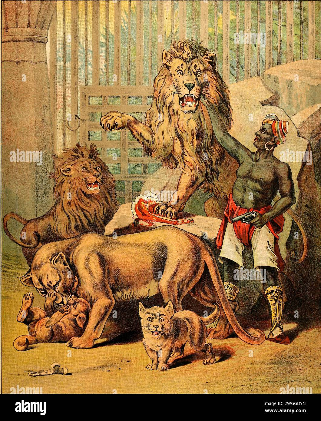 Barnum's menagerie 1888 - Tamer of lions Stock Photo