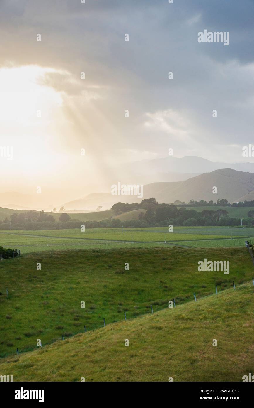 Vineyards and grazing lands near Blenheim in the Marlborough region of New Zealand Stock Photo