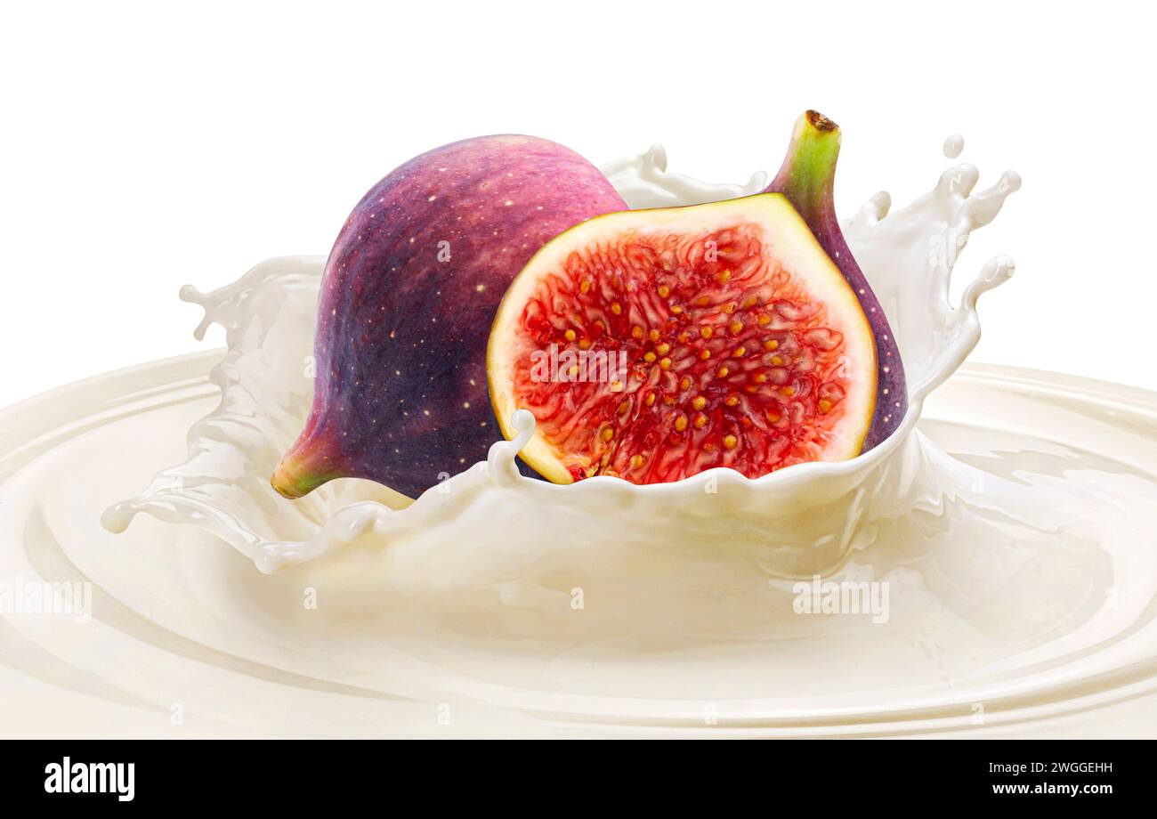 Figs falling into milk splash isolated on white background Stock Photo