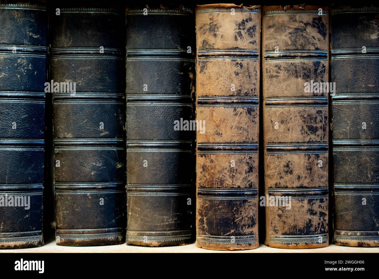 Organized Collection of Old Books on Wooden Shelves Stock Photo - Alamy