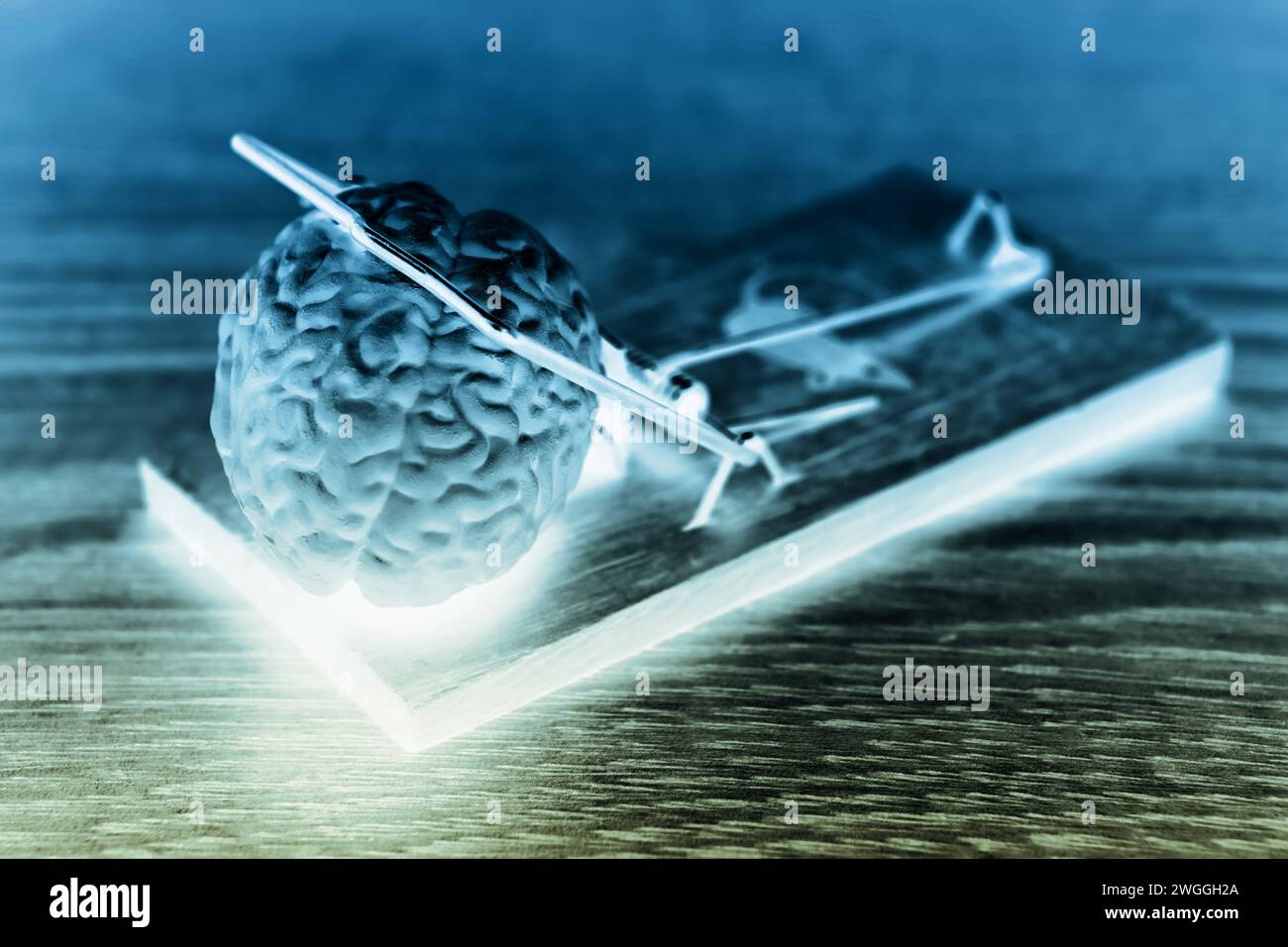 Gehirn in der Mausefalle *** Brain in a mousetrap Stock Photo