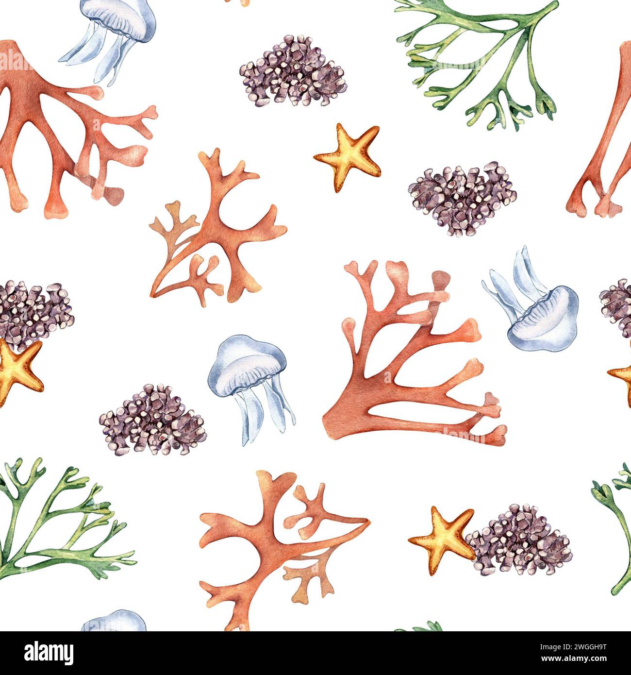 Watercolor seamless pattern of sea plants and starfish isolated on white. Seaweeds and coral hand drawn. Painted colorful algae print. Design element Stock Photo