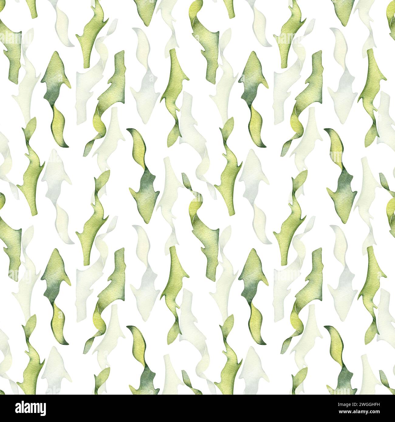 Watercolor seamless pattern of colorful laminaria illustration isolated on white. Kelp, seaweeds hand drawn. Painted algae. Design for background, tex Stock Photo