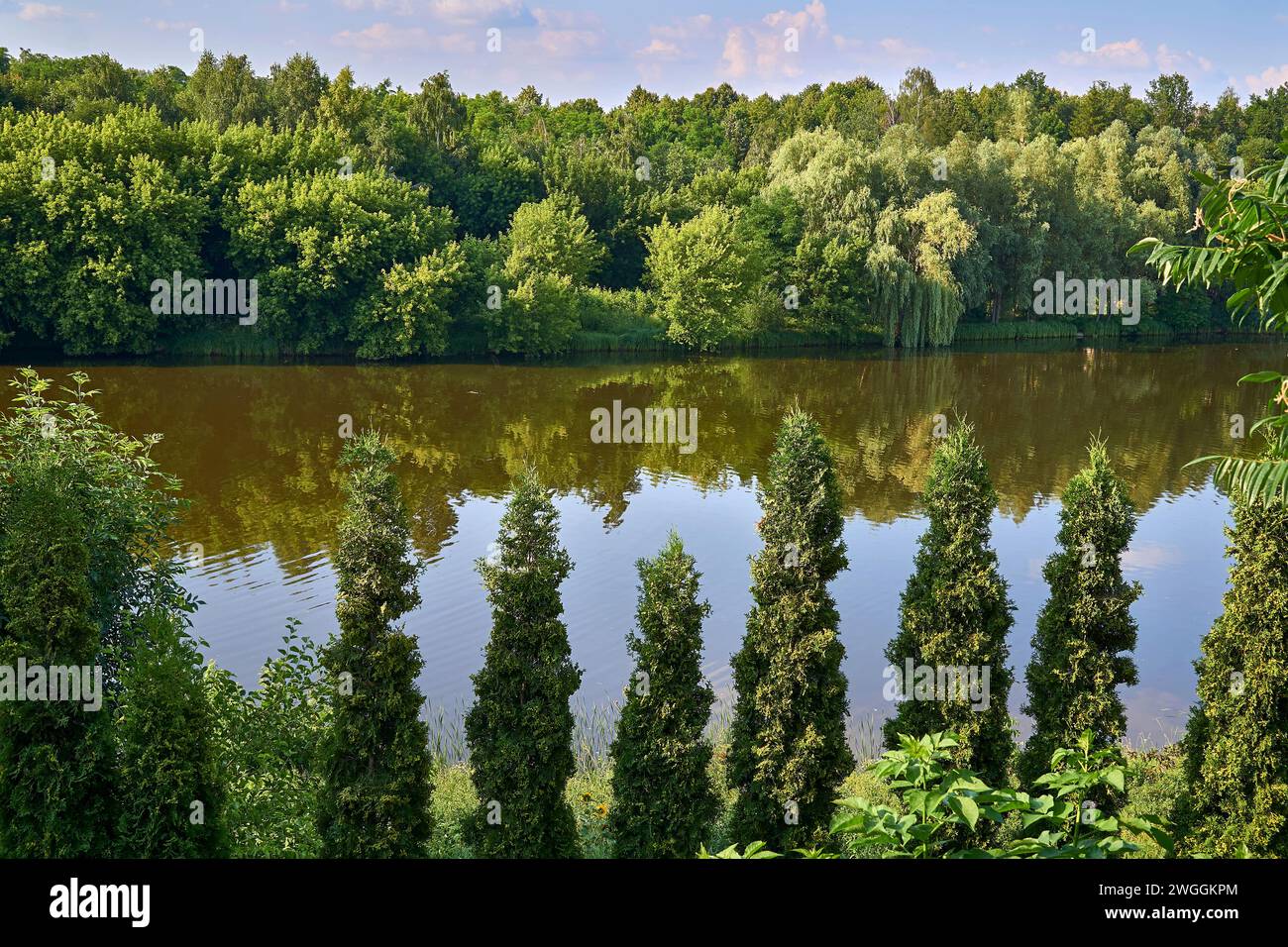 Lush greenery trees in fishing hi-res stock photography and images - Alamy