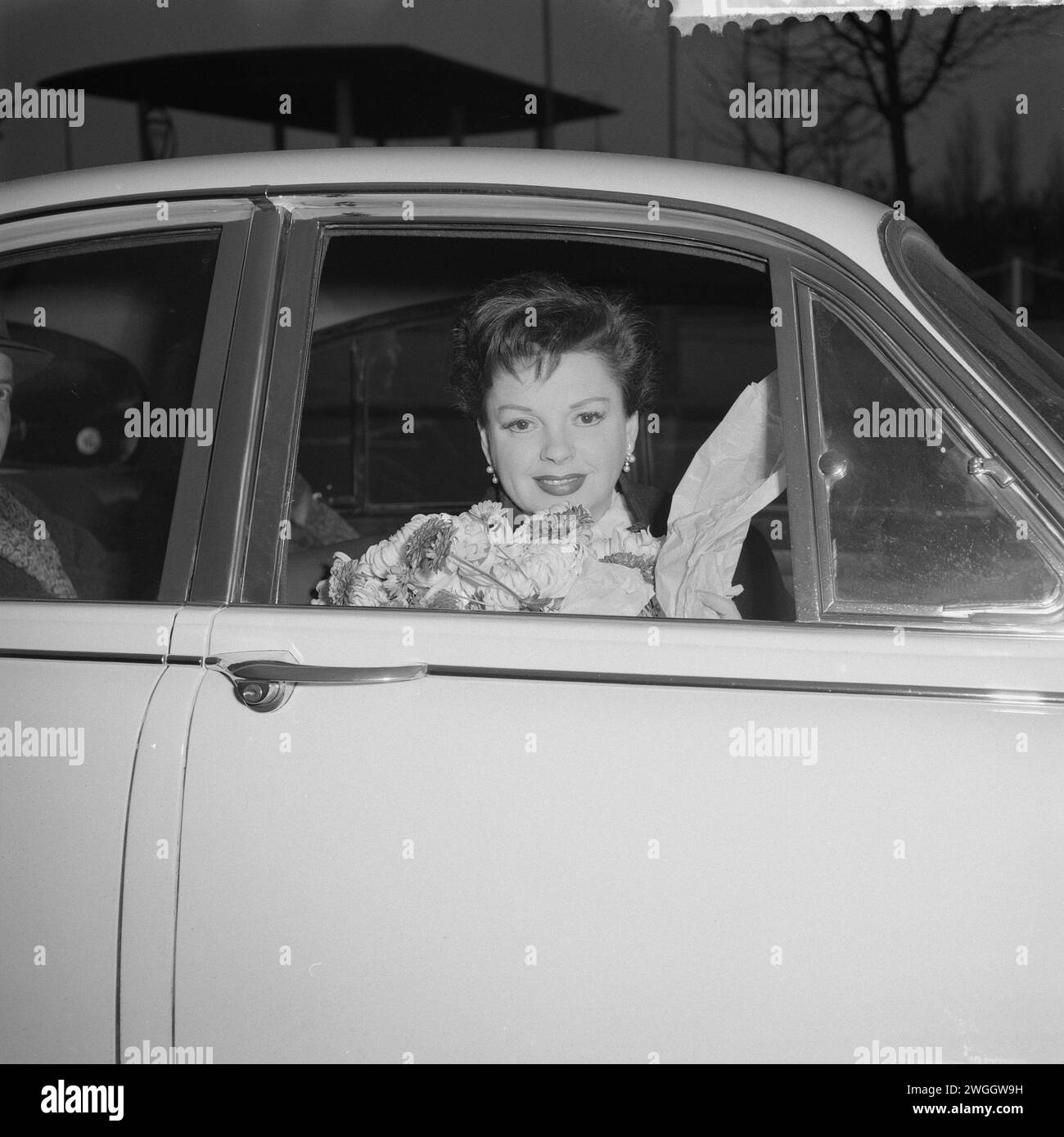 December 9, 1960. Amsterdam, Netherlands. Judy Garland's boards a car upon arrival at Schiphol Airport.  She would give a night performance in the Tuschinski Theater in Amsterdam Stock Photo