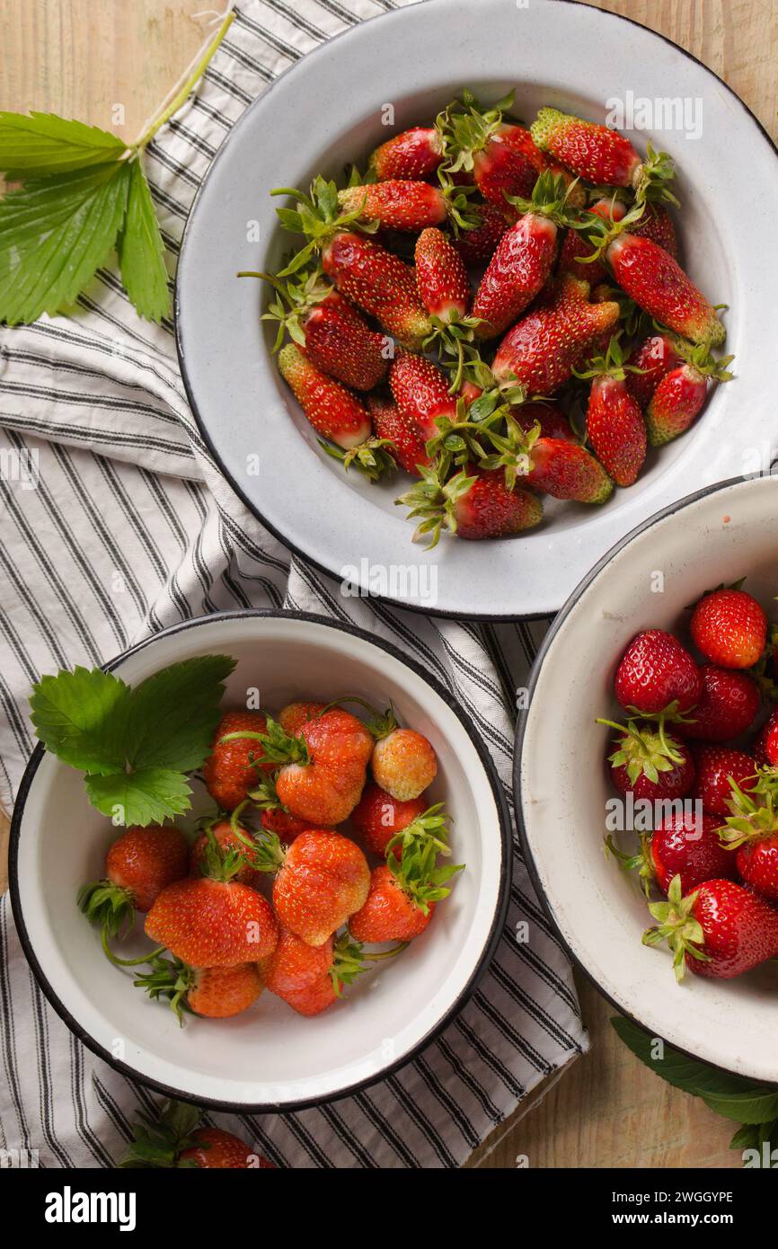 Various varieties of strawberries from the farm garden Stock Photo