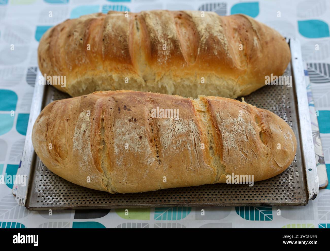Freshly baked traditional homemade bread Stock Photo