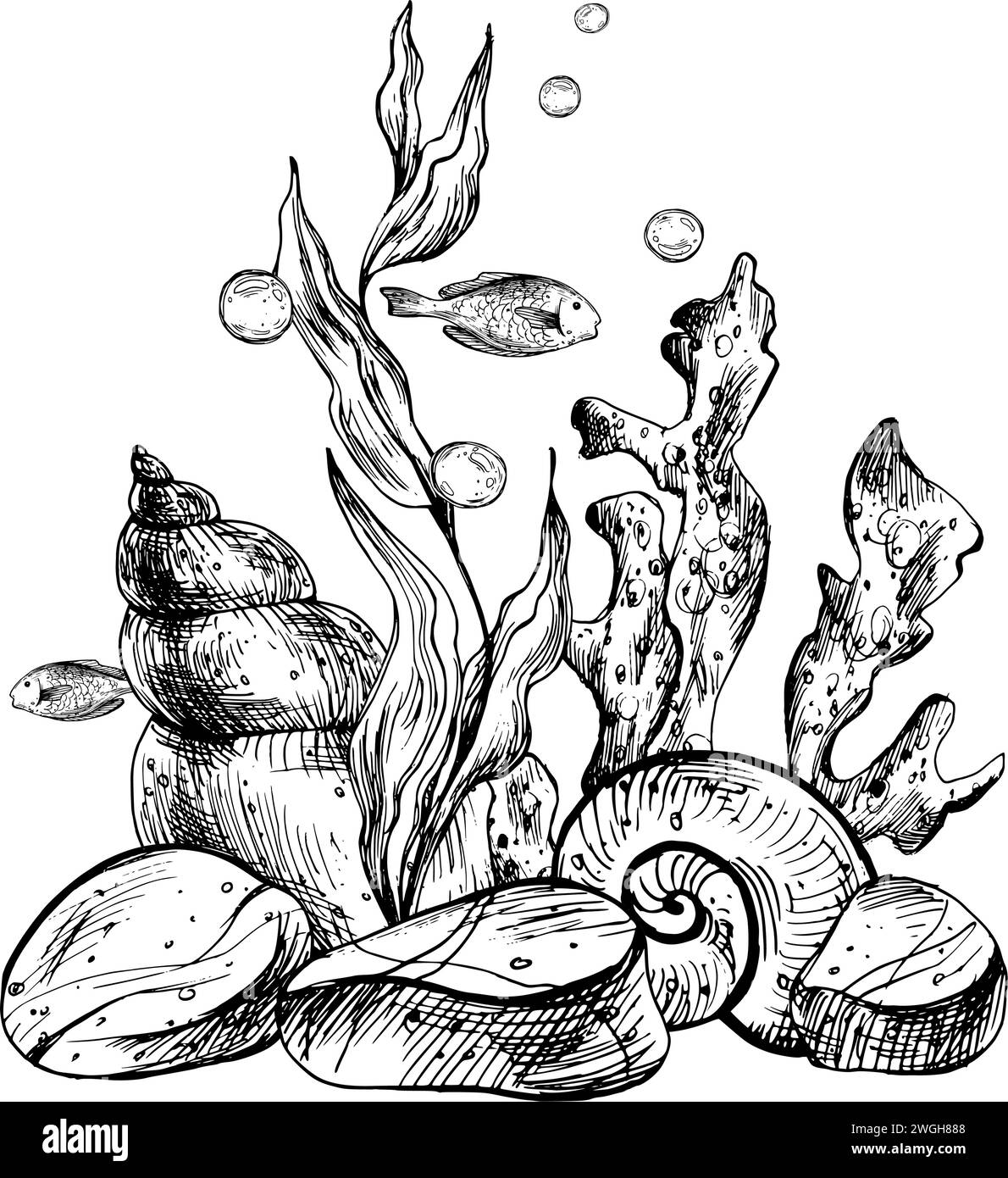 Underwater world clipart with sea animals fishes, shells, coral and algae. Graphic illustration hand drawn in black ink. Composition EPS vector. Stock Vector