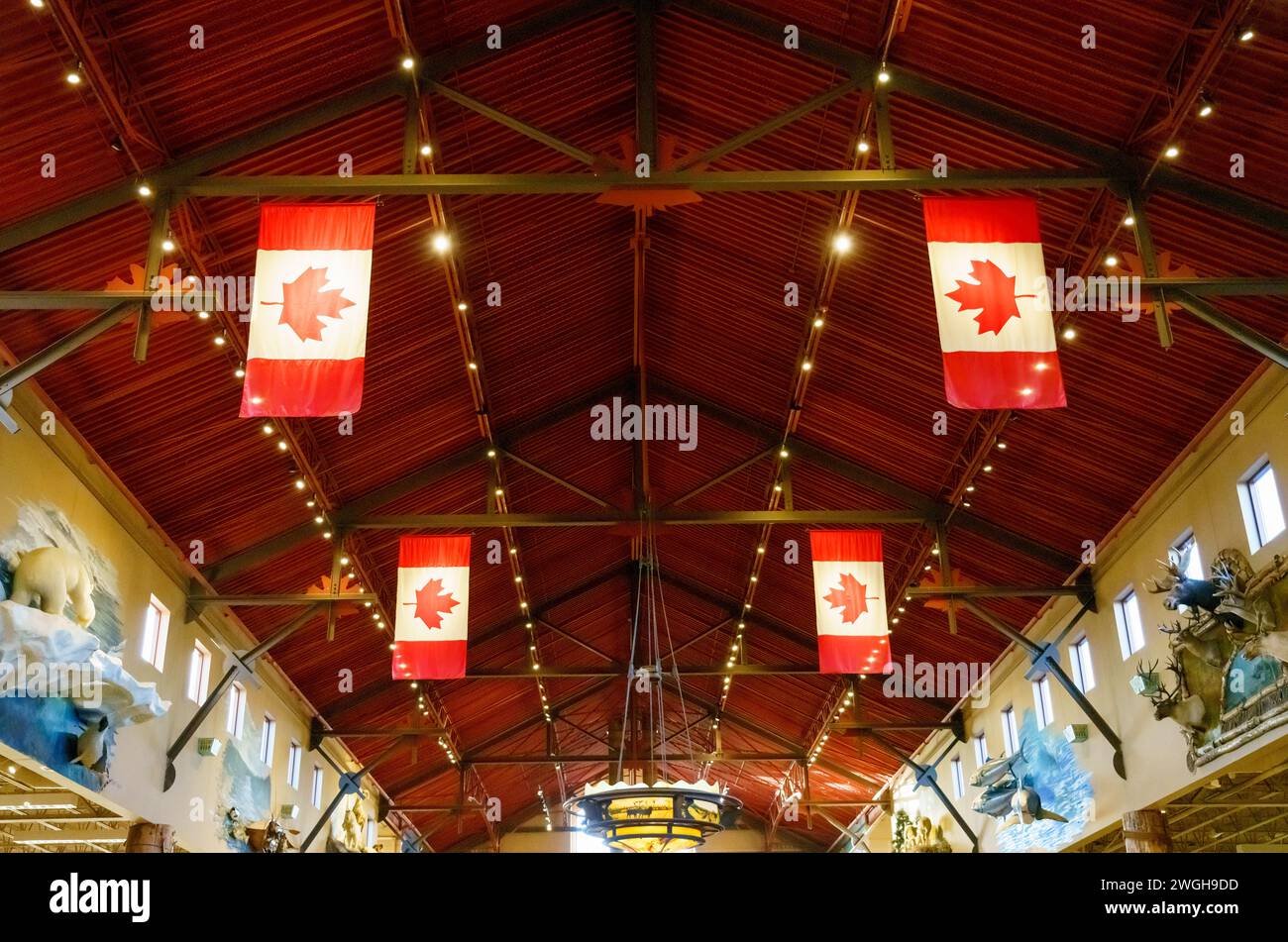 Symmetry of Canadian flags in the ceiling of the Bas Pro Shop. The retail place is an attraction in the Vaughan Mills shopping mall. Stock Photo