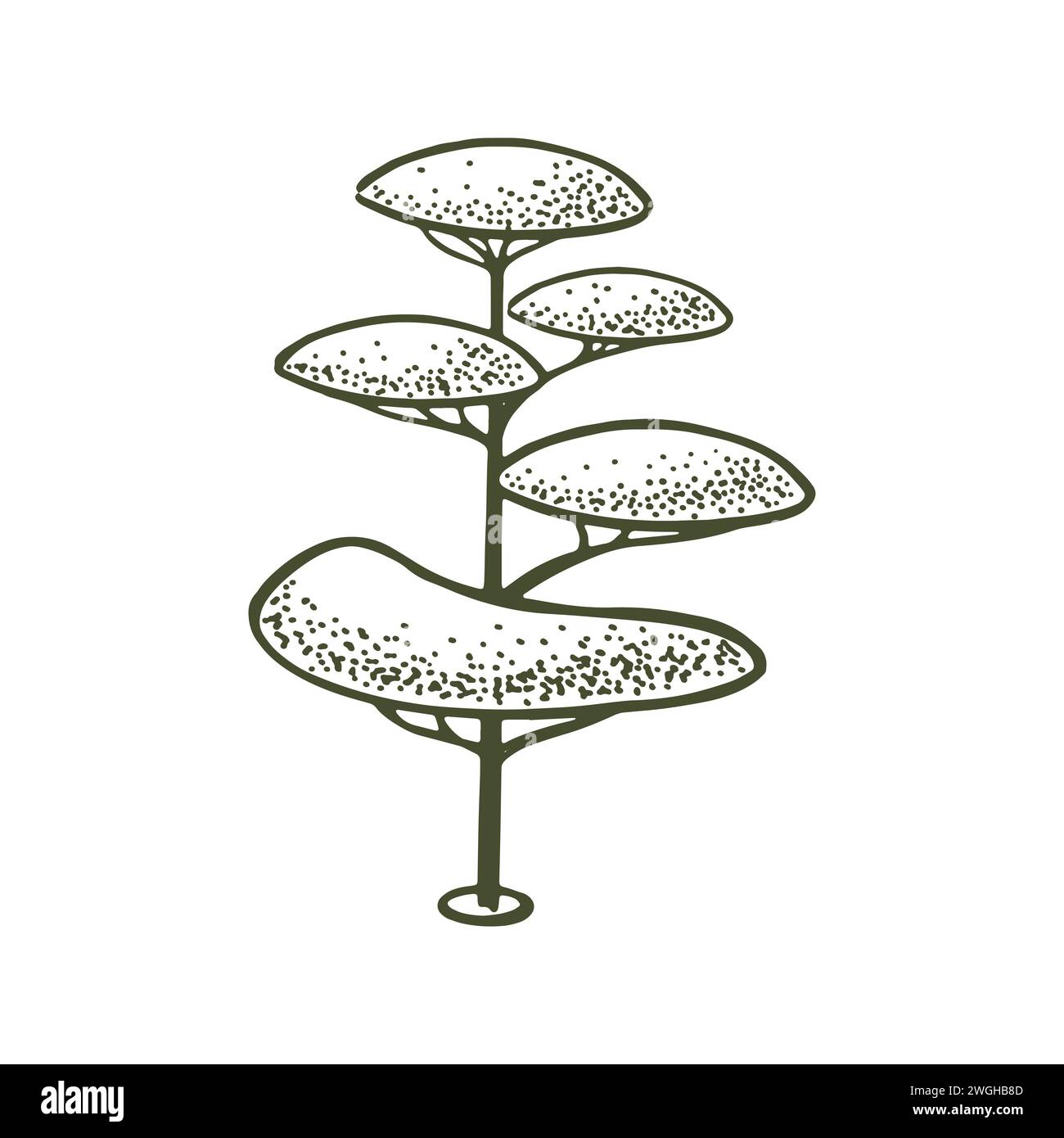 Sketch of topiary conifers. Sheared thuja sphere. Geometric trees for