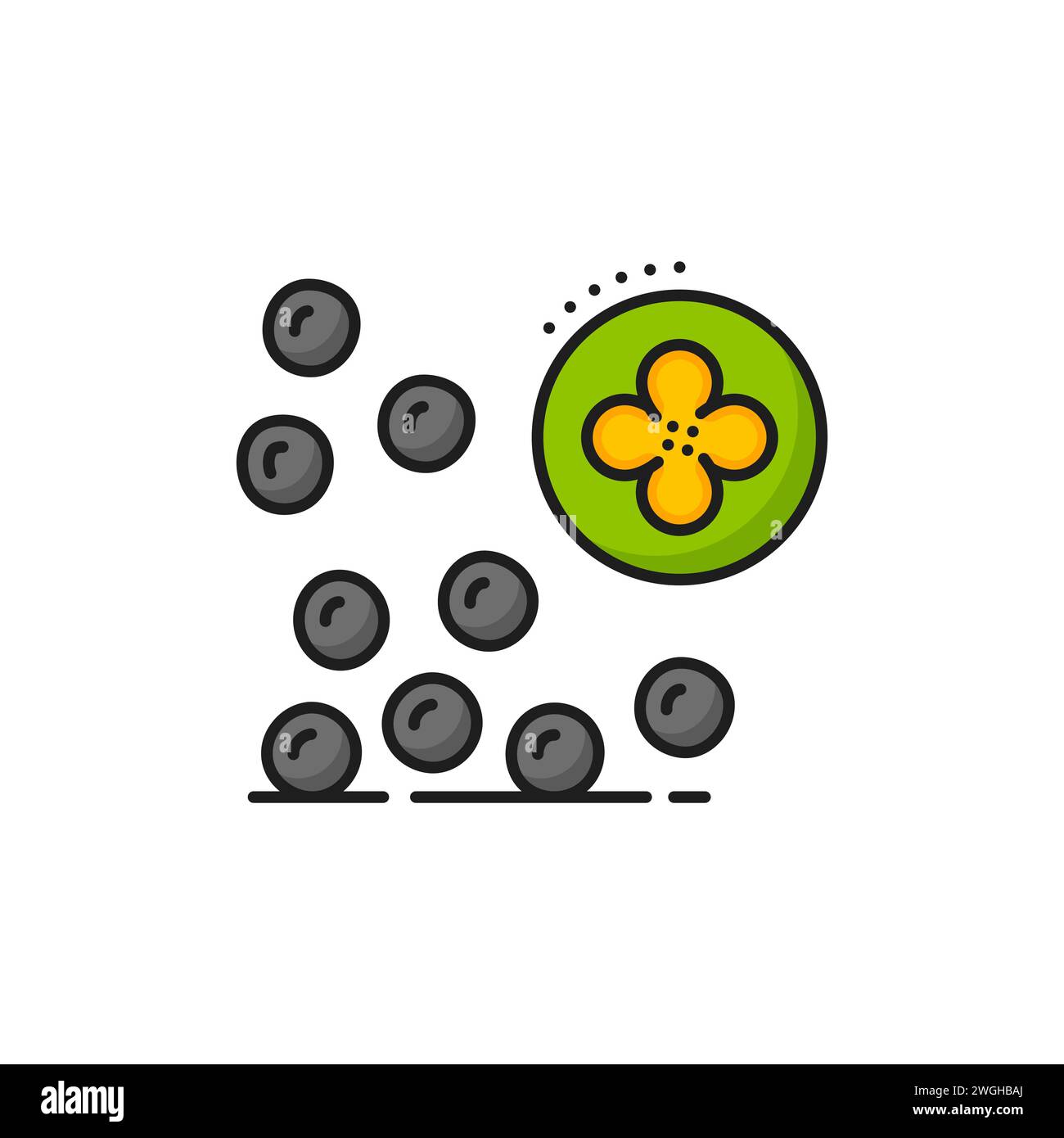 Rapeseed and canola oil seeds icon features tiny, round, black seeds and yellow flower inside of green circle. Isolated vector linear symbol of agriculture production for culinary and industrial apps Stock Vector