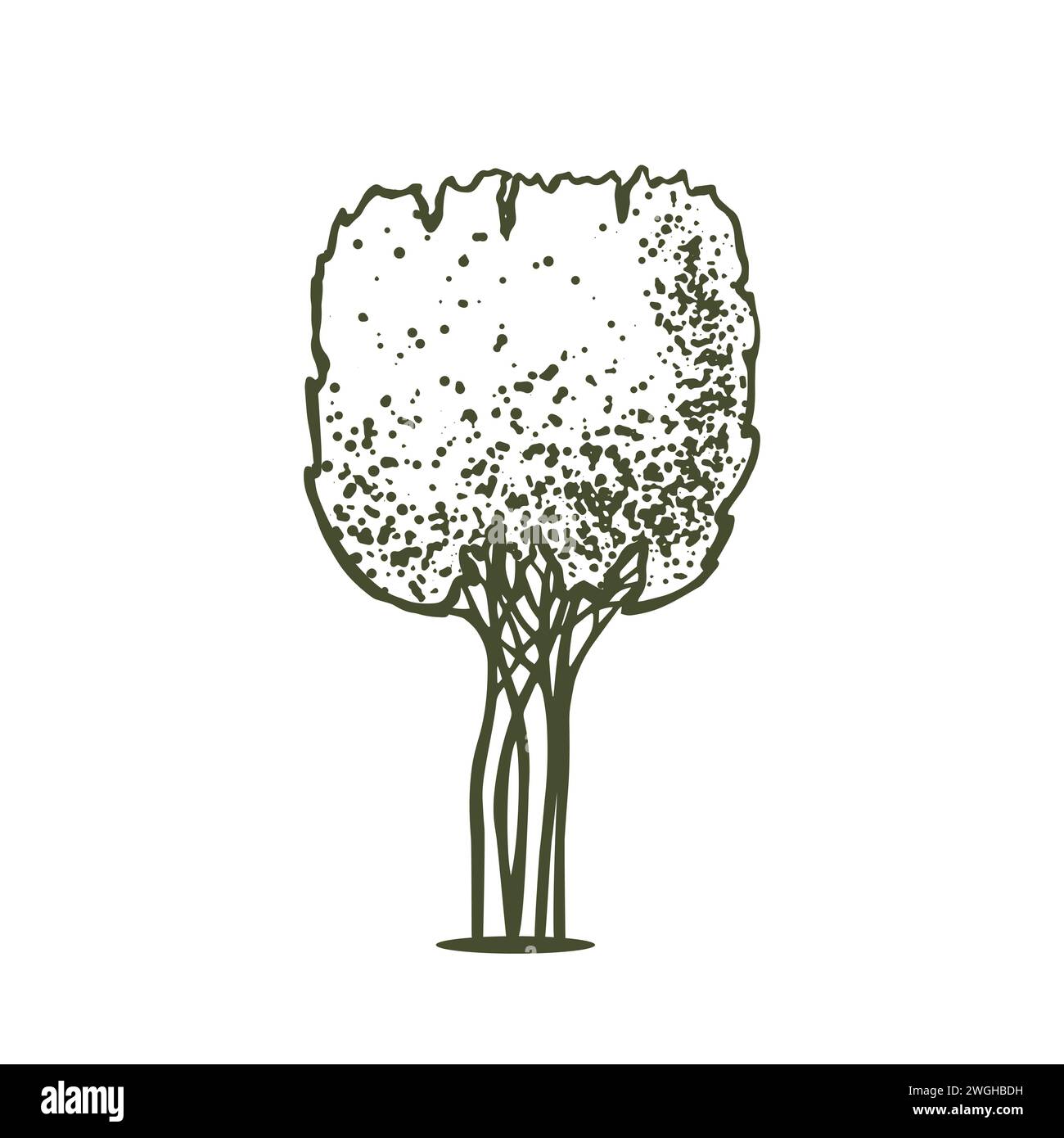 Sketch of topiary conifers. Sheared thuja sphere. Geometric trees for advertising and landscape design. Isolated on white background. Vector Stock Vector