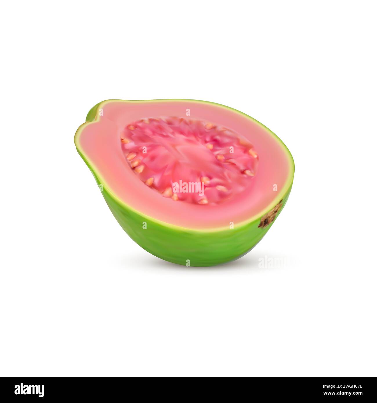 Small Guava Stock Vector Images Alamy small-guava-stock-vector-images-alamy