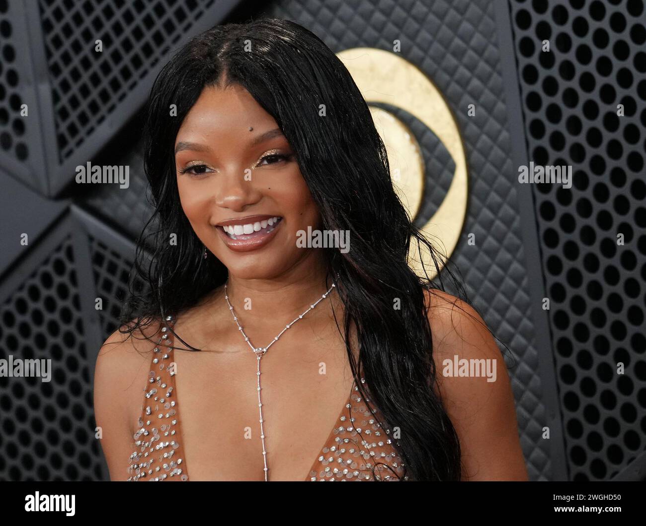 Los Angeles, USA. 04th Feb, 2024. Halle Bailey arrives at the 66th