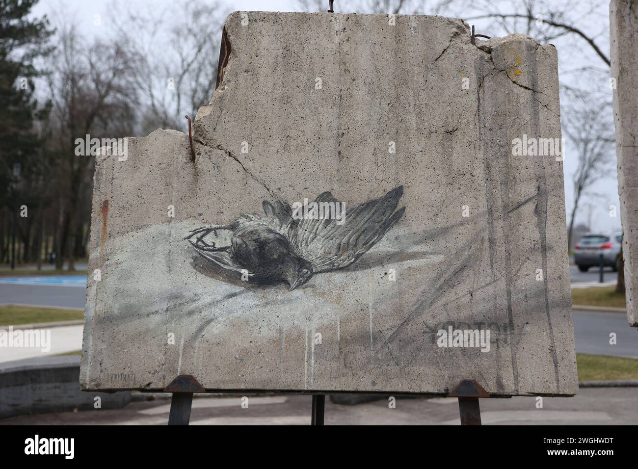 Houfflaize Historische Militaerfahrzeuge in Houfflaize, Belgien, 03.02.2024 Malerei eines toten Vogels auf einem Stück Wand aus dem 2. Weltkrieg in Bastogne, Belgien Historische Militaerfahrzeuge in Houfflaize, Belgien, 03.02.2024 *** Houfflaize Historic military vehicles in Houfflaize, Belgium, 03 02 2024 Painting of a dead bird on a piece of wall from the Second World War in Bastogne, Belgium Historic military vehicles in Houfflaize, Belgium, 03 02 2024 Copyright: xAugstx/xEibner-Pressefotox EP jat Stock Photo