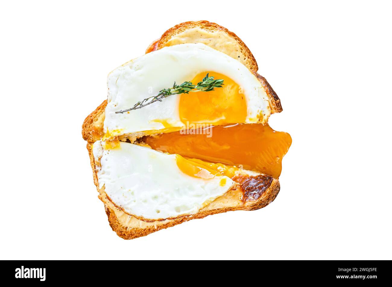 Cut sandwich Croque Madame. French cuisine. Isolated on white background. Top view Stock Photo