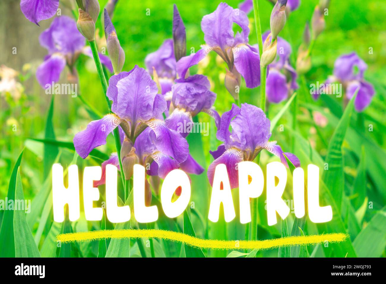 Text Hello April. Color spring background with blooming flower Stock