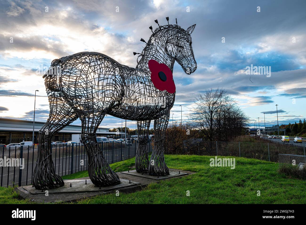Heavy Horse steel sculpture wearing poppy for Remebrance Day. Stock Photo