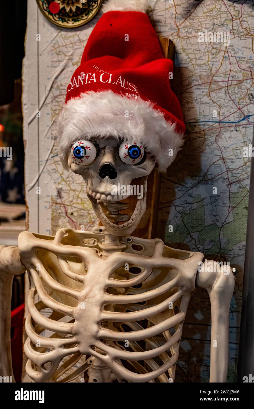Skeleton with hat hi-res stock photography and images