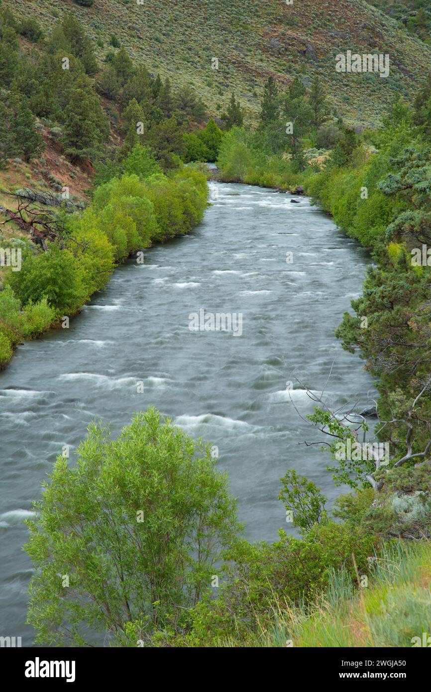 Chewaucan River, Fremont National Forest, Oregon Stock Photo - Alamy