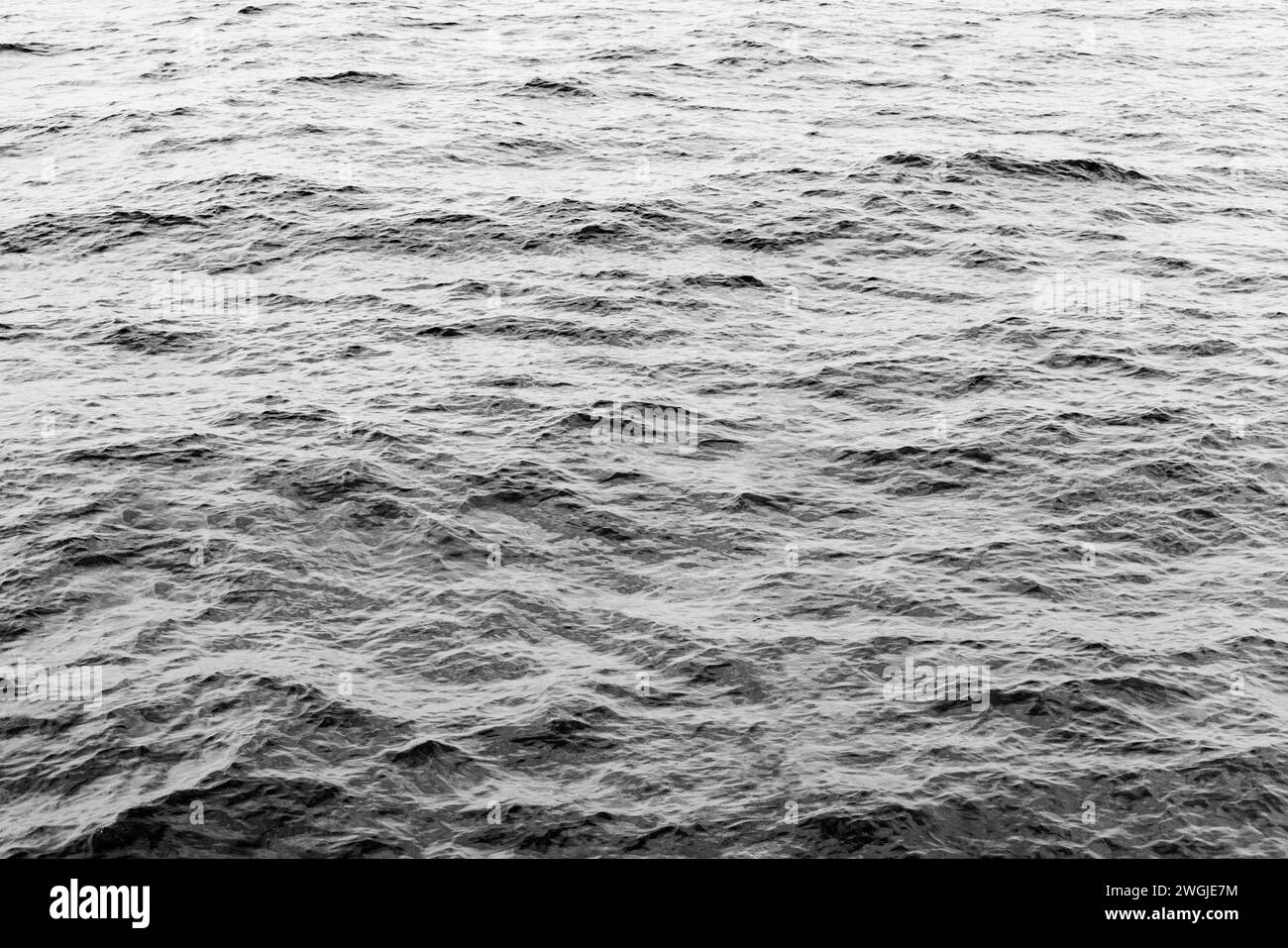 Rippling waves create a dynamic texture across the ocean's surface, a timeless and versatile backdrop for various creative projects (Black and white) Stock Photo