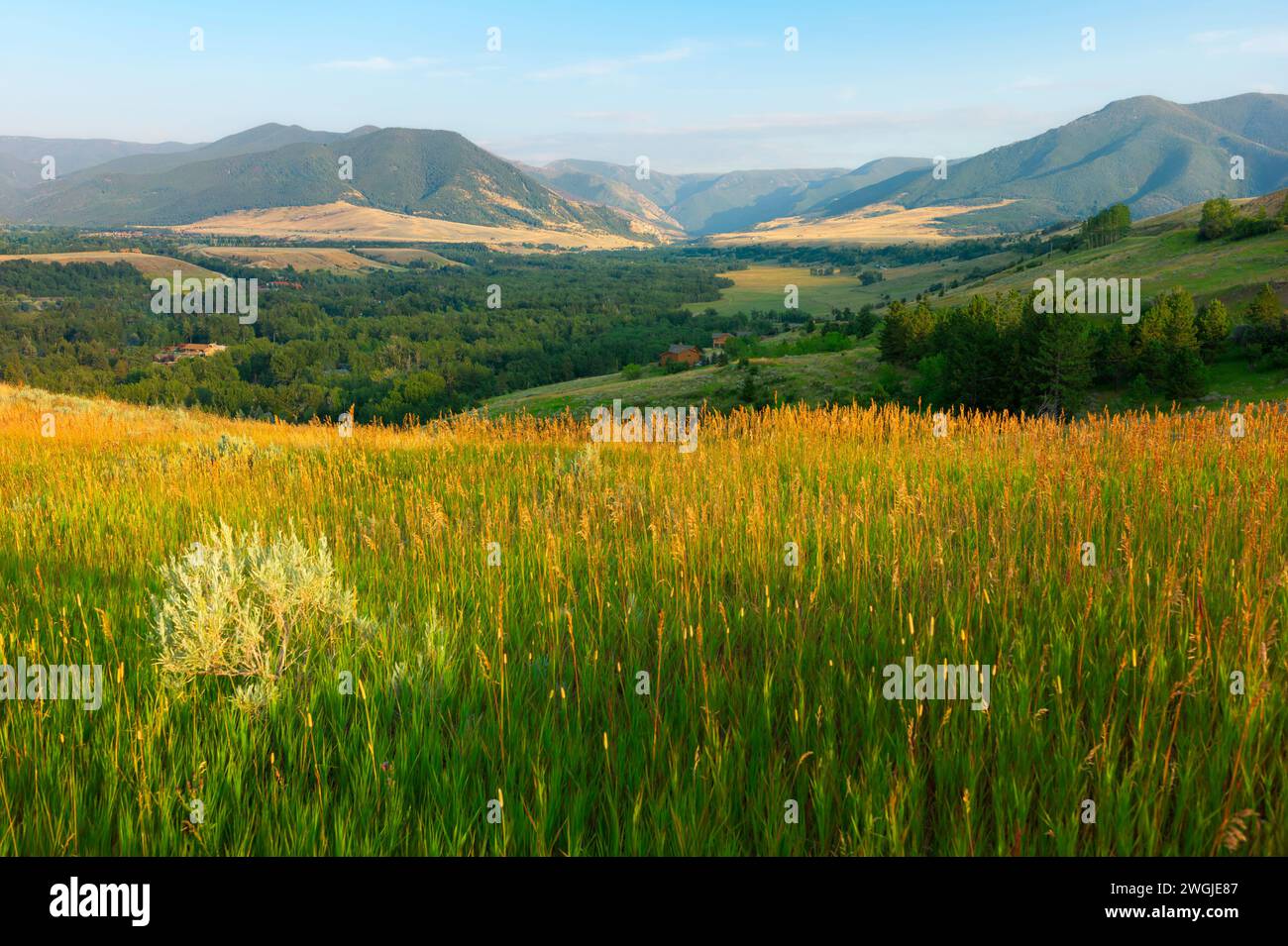 The foothills of the Bear Tooth Mountains at dawn as seen from the Bear Tooth Mountain Pass Highway on a fine summer morning. Montana, USA. Stock Photo