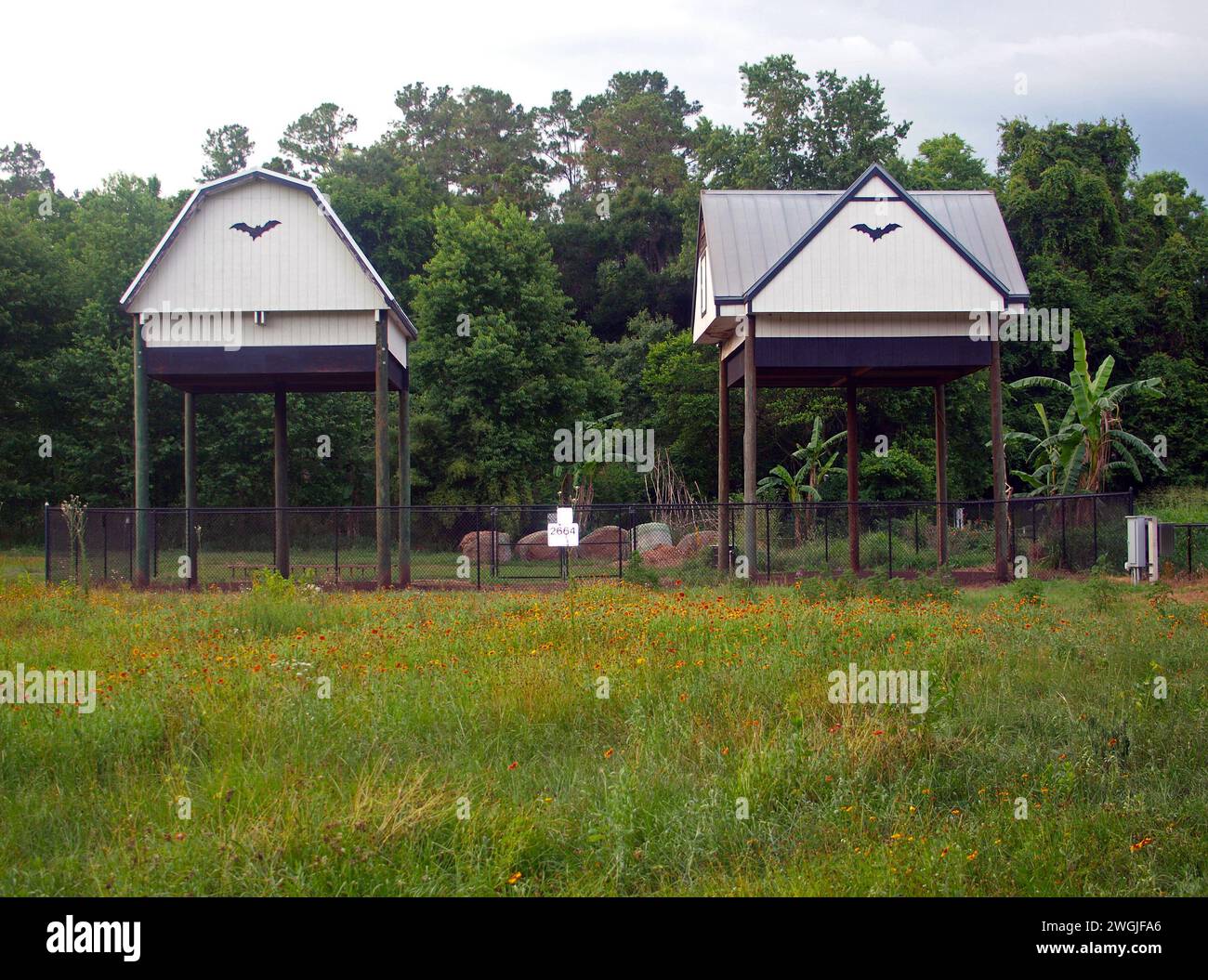 University of florida bat houses hires stock photography and images Alamy