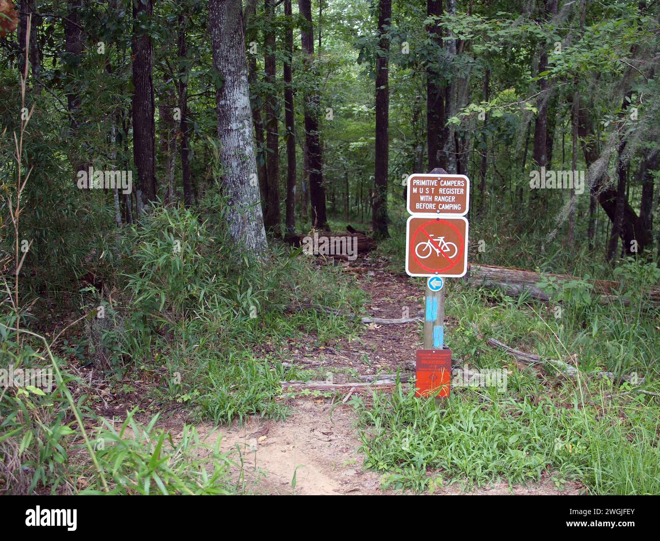 Torreya State Park, Florida, United States - August 13, 2012: Hiking trail with warning about primitive camping. Stock Photo