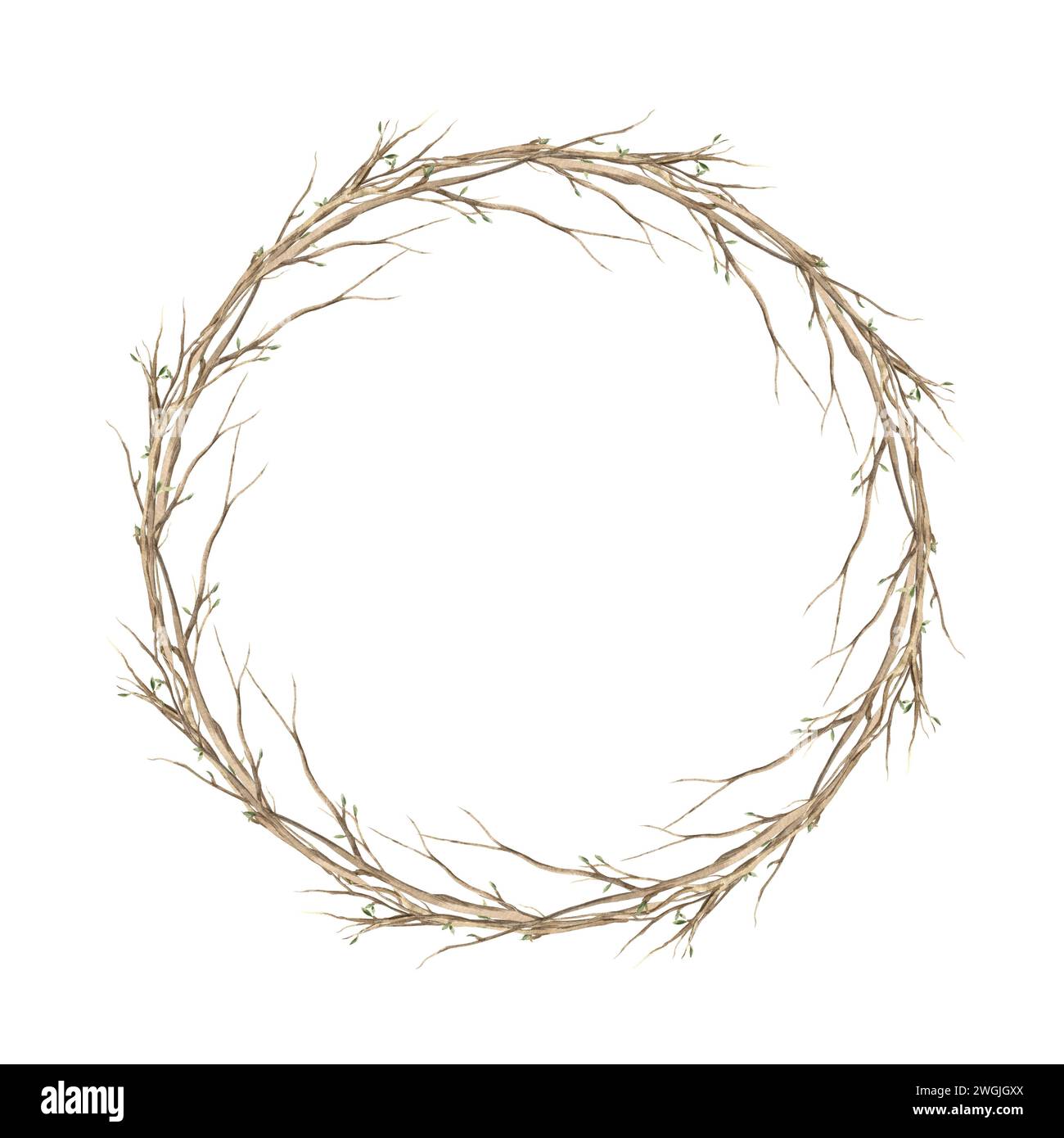 Watercolor wreath of spring branches. The illustration is hand drawn on ...
