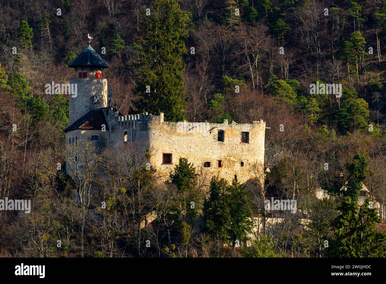 Birseck Castle (Burg Birseck), Arlesheim, Canton Basel-Landschaft, Switzerland. Birseck Castle is one of four castles on a slope called Birseck. Birse Stock Photo