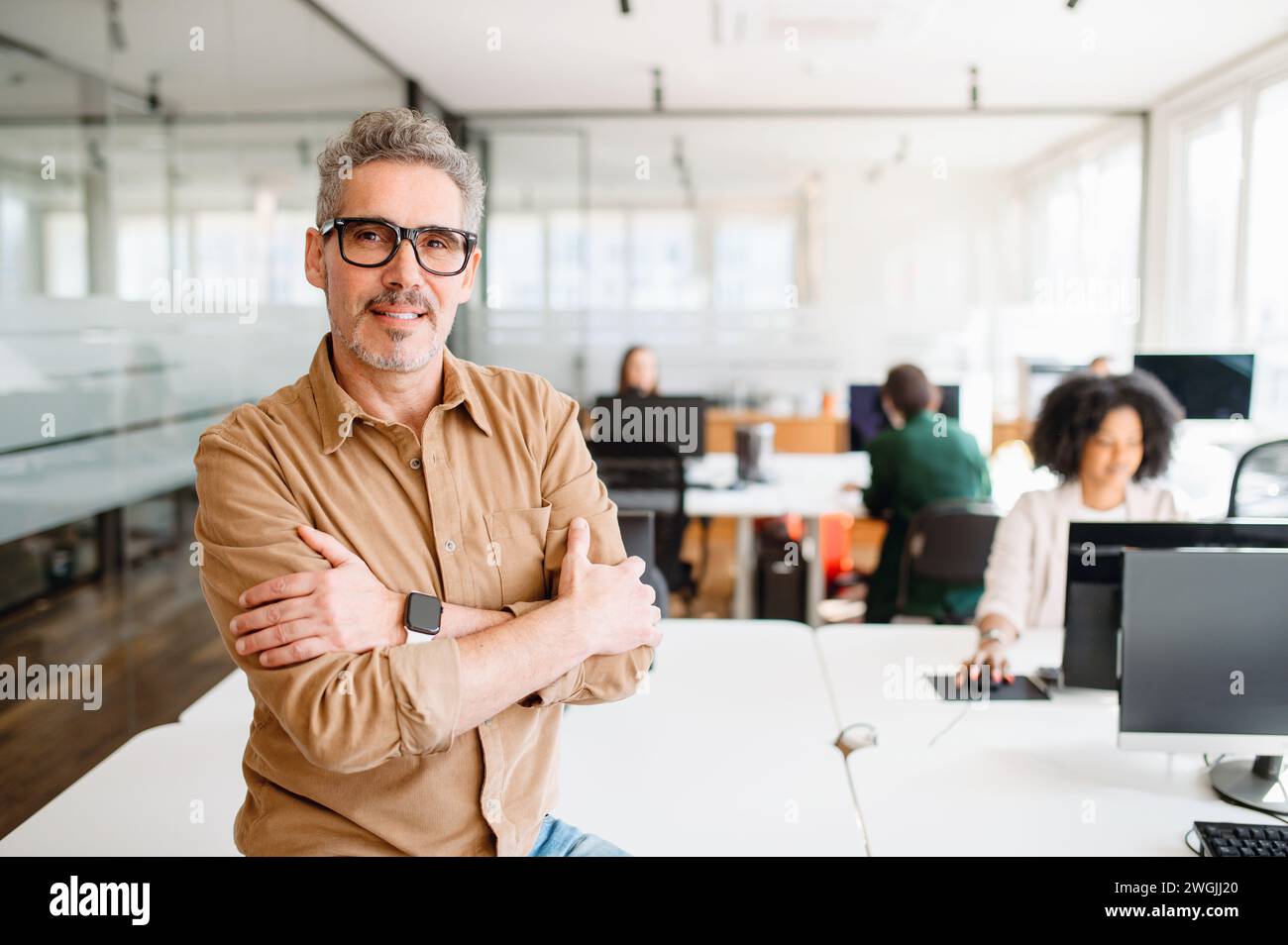 Senior professional is leaning an office desk, confidently overseeing ...